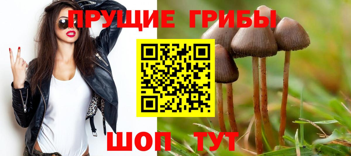 Псилоцибиновые грибы Psilocybine cubensis  Вход с VPN  Самара 