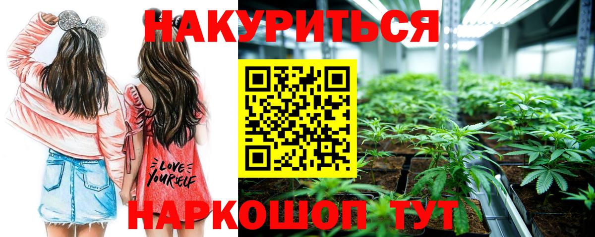 Конопля марихуана Самара